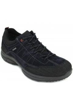 Chaussures Ara 11-24206 GTX(127930084)
