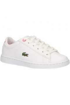 Chaussures enfant Lacoste 37SUC0012 CARNABY(127890779)