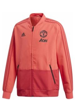 Sweat-shirt enfant adidas Manchester United Presentation Junior(127902777)